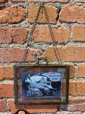 Glass and metal dog frame